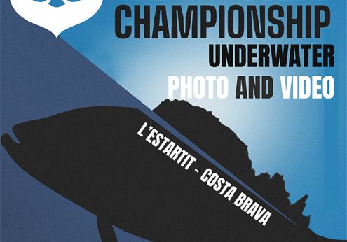 Championnat du monde photo video cmas 2025