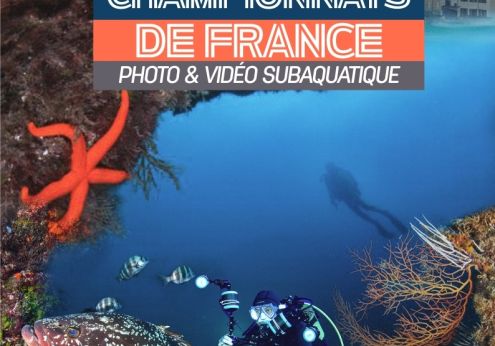 france 2026 port vendres