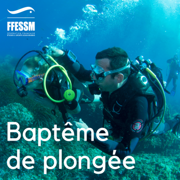 Actualité - baptême de plongée