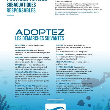 charte images respo,nsable en jpeg